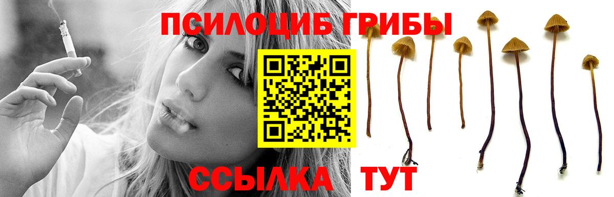 Псилоцибиновые грибы мицелий  Вход с VPN  Белово  Псилоцибиновые грибы мухоморы 